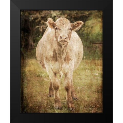 Belle Black Modern Wood Framed Art Print by Murdock, Ramona