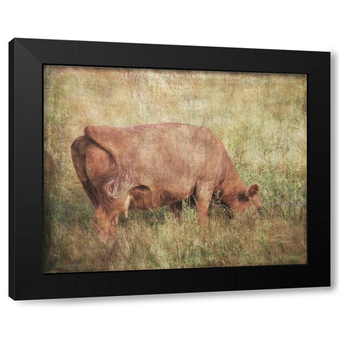 Lush Pastures Black Modern Wood Framed Art Print with Double Matting by Murdock, Ramona