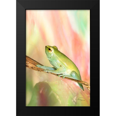 Basking in Light Black Modern Wood Framed Art Print by Murdock, Ramona