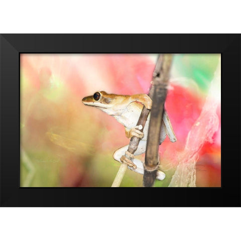 Hangin Around Black Modern Wood Framed Art Print by Murdock, Ramona