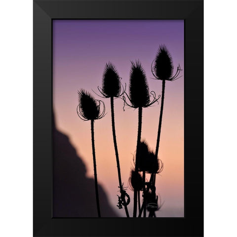 Silhouette Black Modern Wood Framed Art Print by Murdock, Ramona