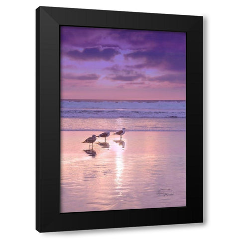 Seagull Beach II Black Modern Wood Framed Art Print with Double Matting by Murdock, Ramona