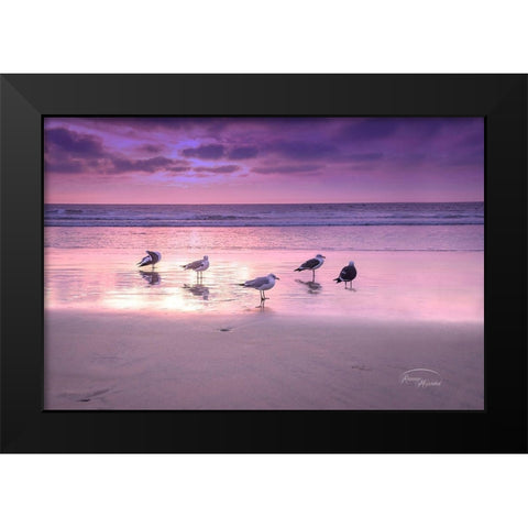 Seagull Beach I Black Modern Wood Framed Art Print by Murdock, Ramona