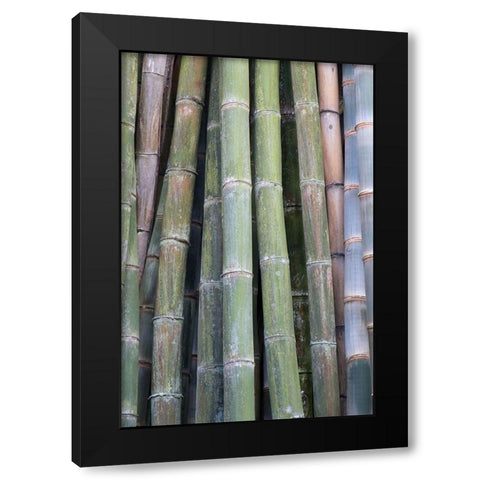Bamboo Fence Black Modern Wood Framed Art Print by Murdock, Ramona