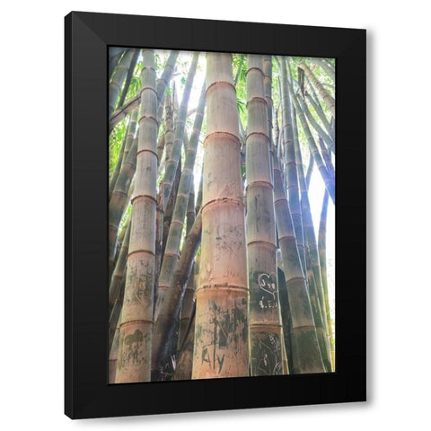 Bamboo Grove Sunburst Black Modern Wood Framed Art Print with Double Matting by Murdock, Ramona