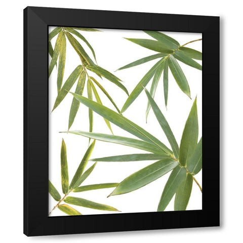 Bamboo Collage Black Modern Wood Framed Art Print by Murdock, Ramona