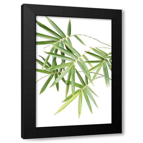 Bamboo Bouquet Black Modern Wood Framed Art Print by Murdock, Ramona