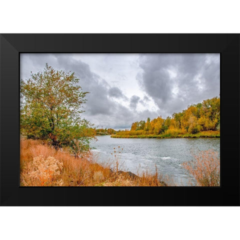 Snake River Autumn I Black Modern Wood Framed Art Print by Murdock, Ramona