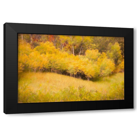 Fall Thicket Black Modern Wood Framed Art Print with Double Matting by Murdock, Ramona