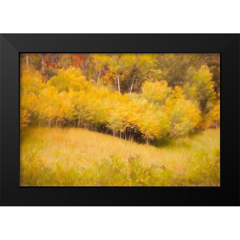 Fall Thicket Black Modern Wood Framed Art Print by Murdock, Ramona