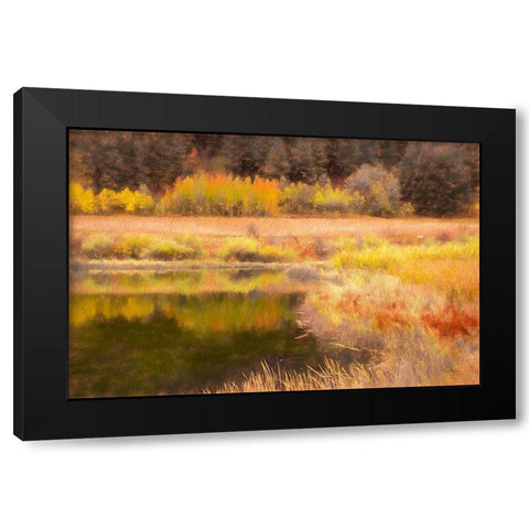 Autumn Pond Black Modern Wood Framed Art Print with Double Matting by Murdock, Ramona