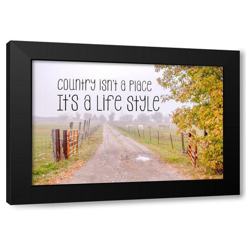 Country Style Black Modern Wood Framed Art Print with Double Matting by Murdock, Ramona
