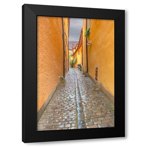 Rothenberg Alley Black Modern Wood Framed Art Print with Double Matting by Murdock, Ramona