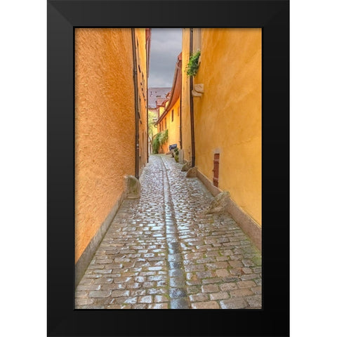 Rothenberg Alley Black Modern Wood Framed Art Print by Murdock, Ramona