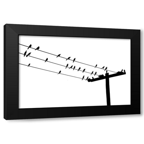 Bird Neighborhood Black Modern Wood Framed Art Print by Murdock, Ramona