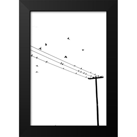 Birds on a Wire Black Modern Wood Framed Art Print by Murdock, Ramona