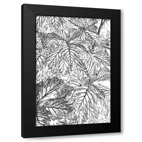 Botanical BW I Black Modern Wood Framed Art Print by Murdock, Ramona