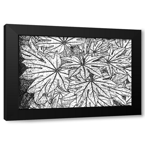 Botanical BW II Black Modern Wood Framed Art Print by Murdock, Ramona