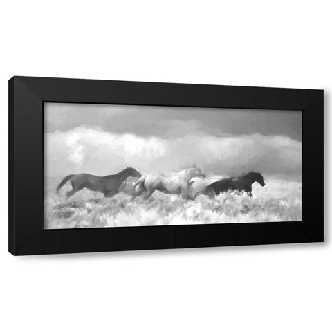 Mustang Herd II BW Black Modern Wood Framed Art Print with Double Matting by Murdock, Ramona