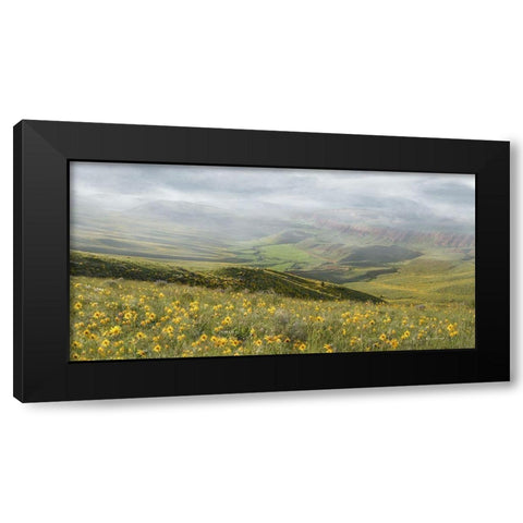 Sunflower Overlook Black Modern Wood Framed Art Print by Murdock, Ramona