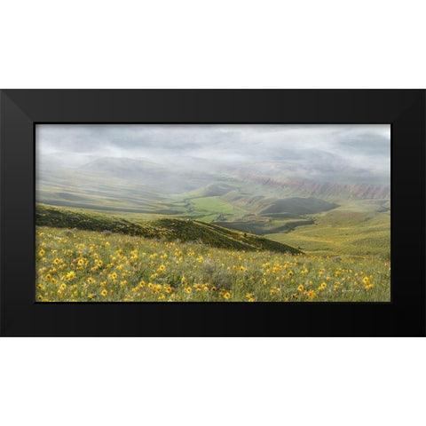 Sunflower Overlook Black Modern Wood Framed Art Print by Murdock, Ramona