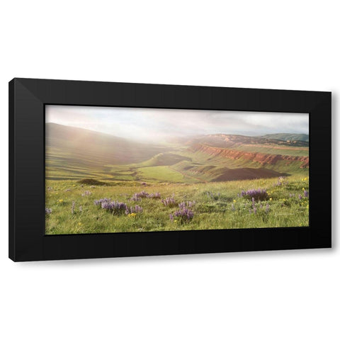 Evening Glow II Black Modern Wood Framed Art Print by Murdock, Ramona