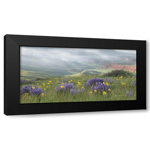 Misty Valley II Black Modern Wood Framed Art Print by Murdock, Ramona