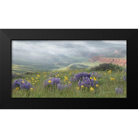 Misty Valley II Black Modern Wood Framed Art Print by Murdock, Ramona