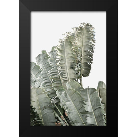 Banana Branch II Black Modern Wood Framed Art Print by Murdock, Ramona