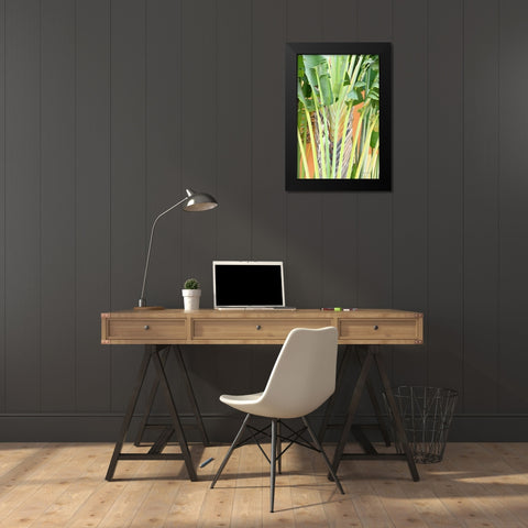 Tropical Dream IV Black Modern Wood Framed Art Print by Murdock, Ramona