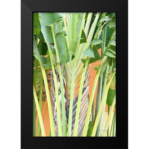 Tropical Dream IV Black Modern Wood Framed Art Print by Murdock, Ramona