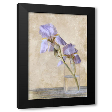 Blue Iris Stem Black Modern Wood Framed Art Print with Double Matting by Murdock, Ramona