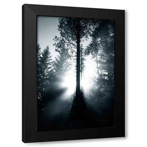 Light in the Forest Black Modern Wood Framed Art Print with Double Matting by Murdock, Ramona