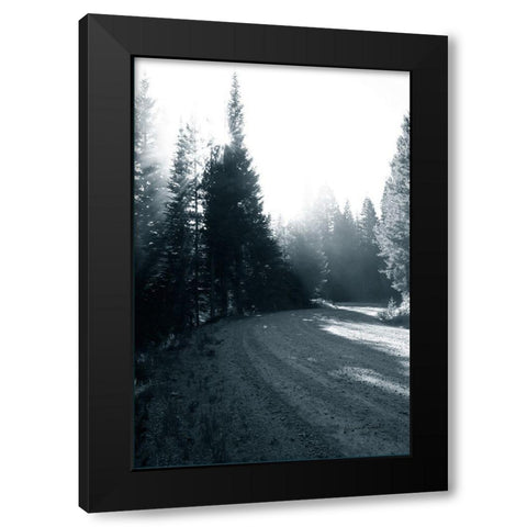 Light in the Forest II Black Modern Wood Framed Art Print by Murdock, Ramona