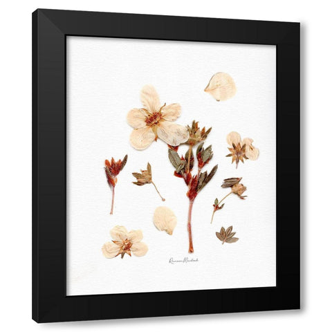 Parts and Pieces Black Modern Wood Framed Art Print with Double Matting by Murdock, Ramona