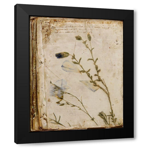 Pressed Flowers Black Modern Wood Framed Art Print with Double Matting by Murdock, Ramona