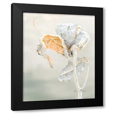 Milkweed Pod II Black Modern Wood Framed Art Print with Double Matting by Murdock, Ramona
