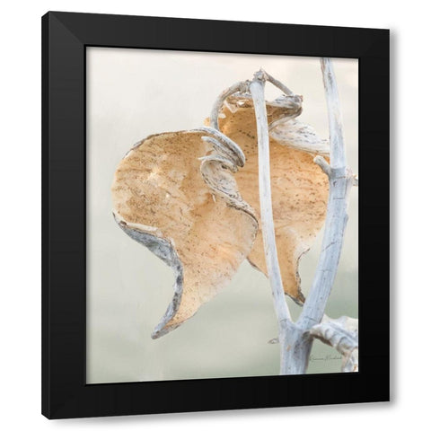 Milkweed IV Black Modern Wood Framed Art Print by Murdock, Ramona