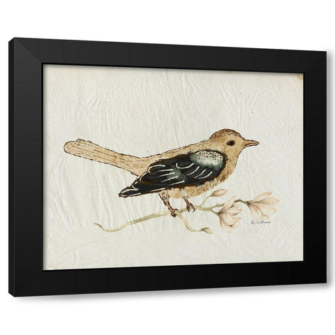 Bird Study No. 1 Black Modern Wood Framed Art Print with Double Matting by Murdock, Ramona