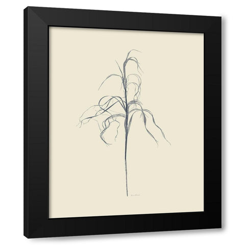 Dried Grasses III Black Modern Wood Framed Art Print with Double Matting by Murdock, Ramona