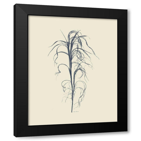 Dried Grasses V Black Modern Wood Framed Art Print with Double Matting by Murdock, Ramona