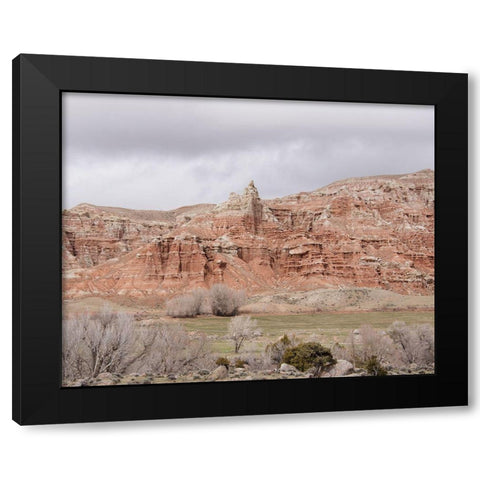 Wyoming Wilderness No. 1 Black Modern Wood Framed Art Print with Double Matting by Murdock, Ramona