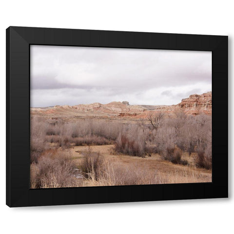 Wyoming Wilderness No. 5 Black Modern Wood Framed Art Print with Double Matting by Murdock, Ramona