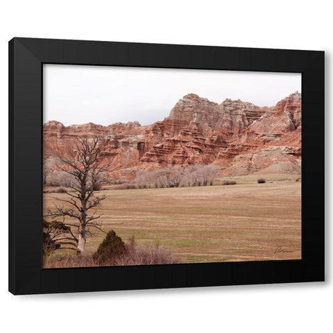 Wyoming Wilderness No. 10 Black Modern Wood Framed Art Print with Double Matting by Murdock, Ramona