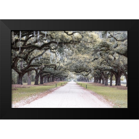 Brookgreen Avenue Black Modern Wood Framed Art Print by Murdock, Ramona
