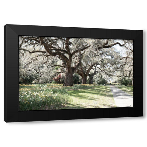 Brookgreen Garden Black Modern Wood Framed Art Print with Double Matting by Murdock, Ramona