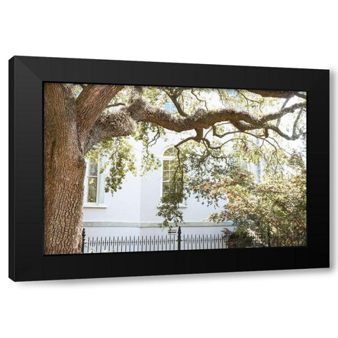 Charleston Garden Windows III Black Modern Wood Framed Art Print with Double Matting by Murdock, Ramona