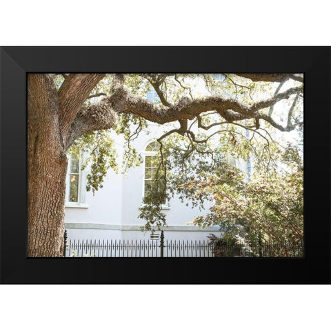 Charleston Garden Windows III Black Modern Wood Framed Art Print by Murdock, Ramona