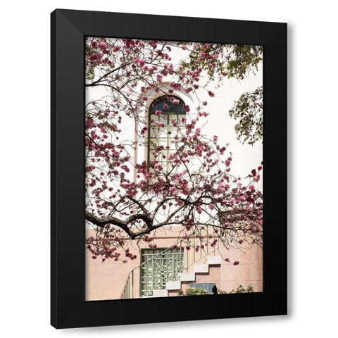 Charleston Spring Blossoms Black Modern Wood Framed Art Print with Double Matting by Murdock, Ramona