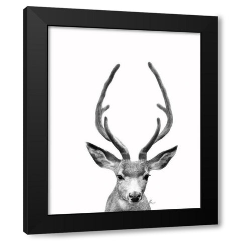 The Majestic Deer II Black Modern Wood Framed Art Print by Murdock, Ramona